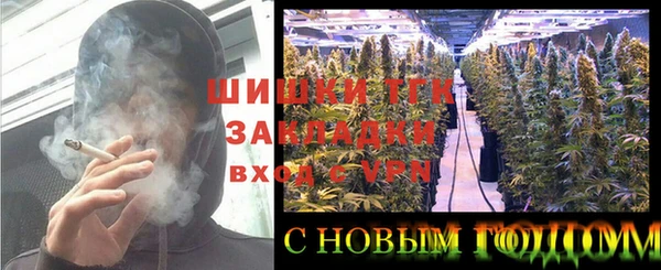 гашик Белокуриха