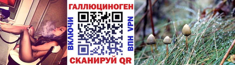 хочу наркоту  Верея  Псилоцибиновые грибы мухоморы 